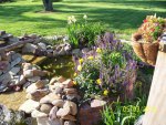 View of waterfall flowers from deck.JPG