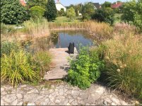 Pond view from stone patio.jpeg