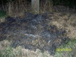 Charred grass at the base - Copy.JPG