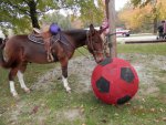 Clyde liked the ball.JPG