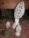 Concrete mushrooms.JPG