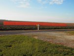 Snow fence up for the winter.JPG