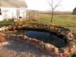 Goldfish pond with sleeping bog.JPG