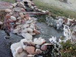 Ice on waterfall rocks and plants.JPG