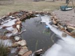 75 percent open goldfish pond.JPG