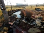 Feb 7 2013 stream and goldfish pond.JPG