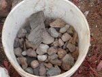 Small rocks with piece of petrified wood.JPG