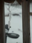 Crooked icicle.JPG