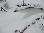 Drift of snow over the goldfish pond.JPG