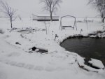 Koi pond open, goldfish pond slushy.JPG