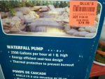 ollies pond supplies 034.JPG