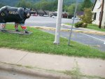 cherokee nc 2013 279.JPG