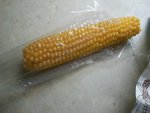 popcorn on the cob 002.JPG