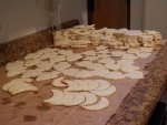 18 doz cut out cookies made.JPG