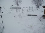 Koi pond has large opening, thanks to heater, goldfish pond running under the ice.JPG