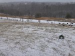 snow 1 28 2014 015.JPG