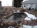 goldfish pond almost completely open water.JPG