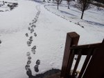 snow 2014 005.JPG