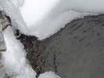 snow 2014 024.JPG