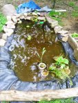 pond in progress.jpg