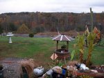 pond oct.28,2015 017.JPG