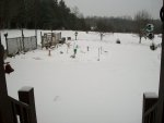 snow feb14-15 -2016 111.JPG