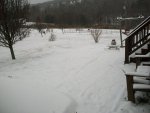 snow feb14-15 -2016 113.JPG