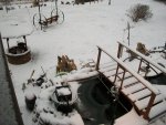 snow feb14-15 -2016 120.JPG