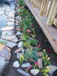 Perennials and annuals with rocks.jpg