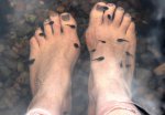 tadpole pedicure 01.jpg