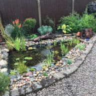 Norlogs 400 gallon raised pond | Garden Pond Forums