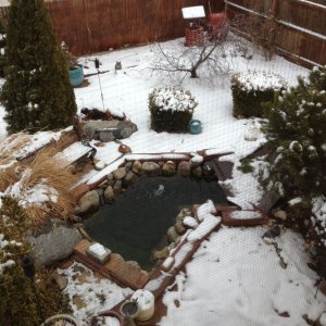 March 2013 Pond - Birds-eye view