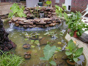 After secondary pond with waterfall was finished