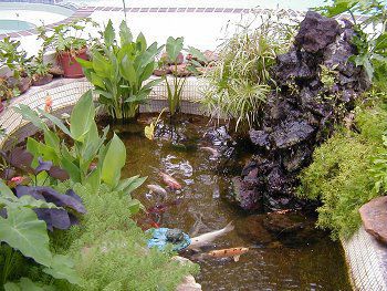 backyard waterfall