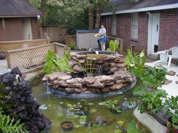 Becky Cleaning Pond