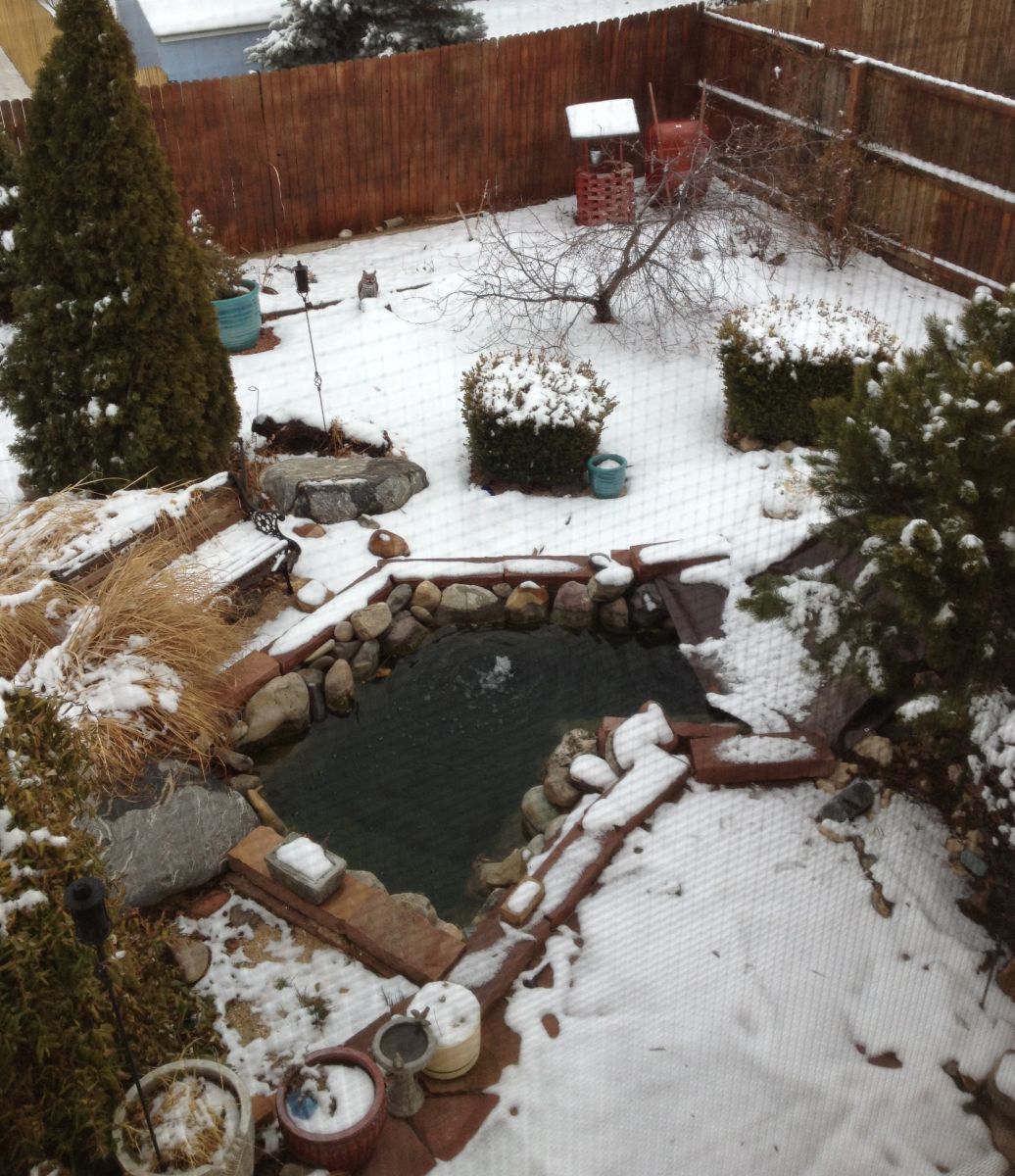 March 2013 Pond - Birds-eye view