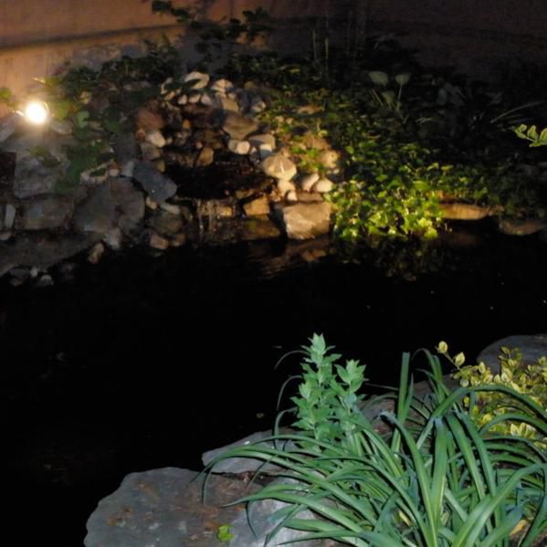 Pond at night