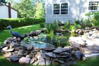 pond b4 renovations.  This was before I added the retaining wall and patio...  Never could tell if I was going to fall in or out of the pond when cleaning climbing on those rocks!