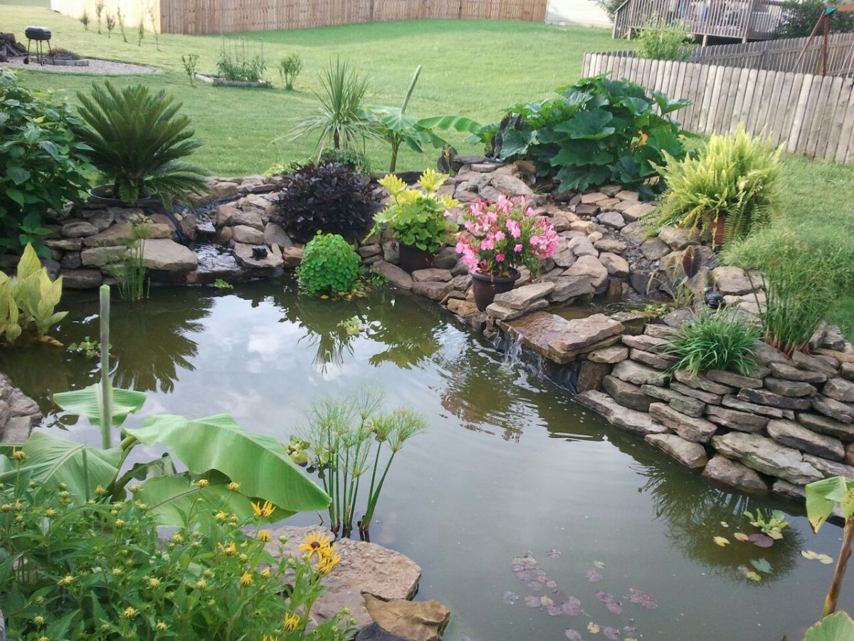 Pond made bigger in the summer 2013