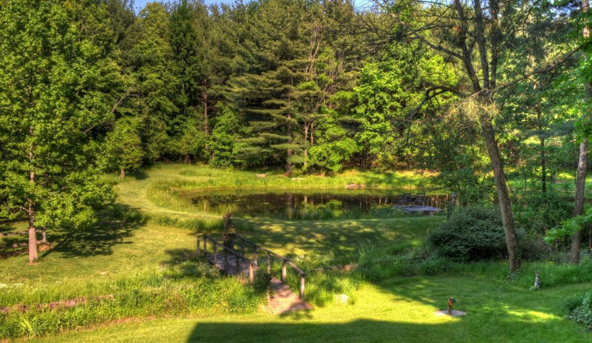 Stream and Pond behind my house.