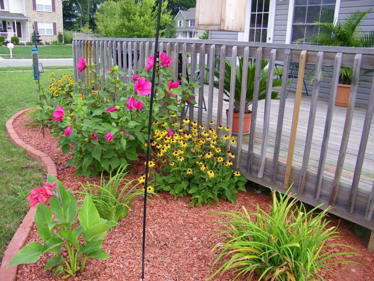 The flower bed made in 2010 before turning this spot into the koi pond