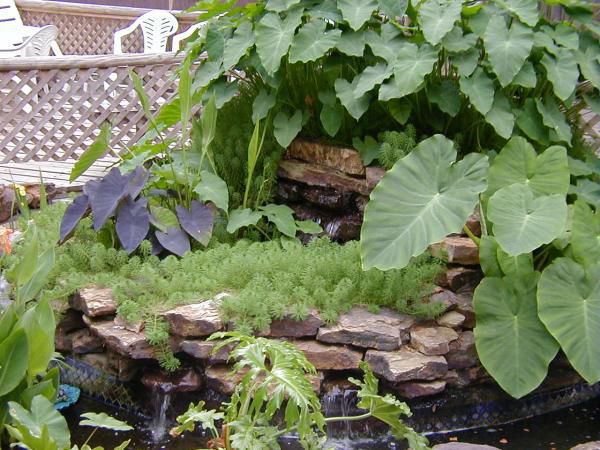 Two Tier Pond Waterfall - Waterfall built from home made stock taink filter